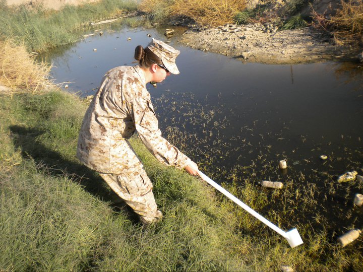 Amanda collecting mosquito larvae samples in Afghanistan to identify whether the local species could carry malaria.